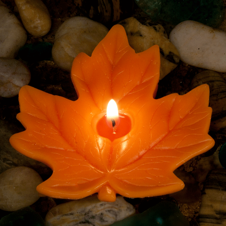 Floating Heart Candle – Buddha And The Bees