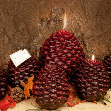 Scented Pine Cone Shaped Candles  Armadilla Wax Works Candle Store