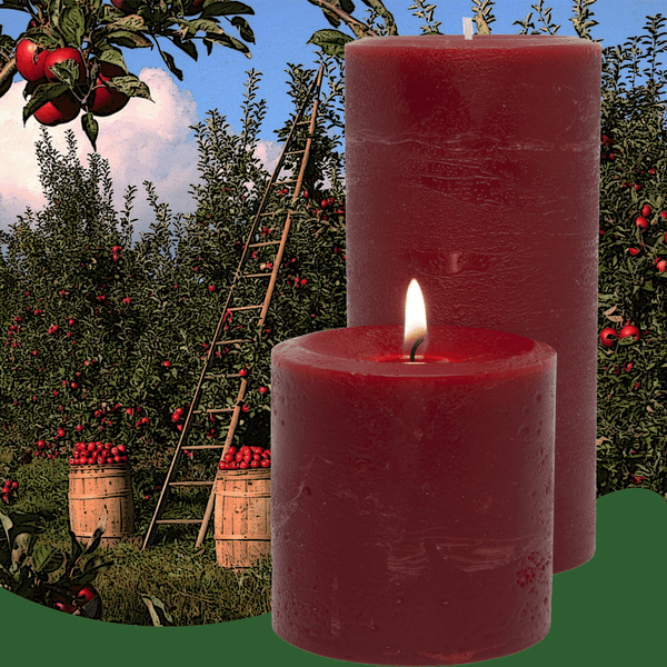 Pomegranate Ginger Pillar Candle - Armadilla Wax Works Candle Factory Store